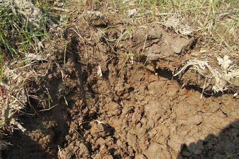 怎么进行土壤重金属的检测