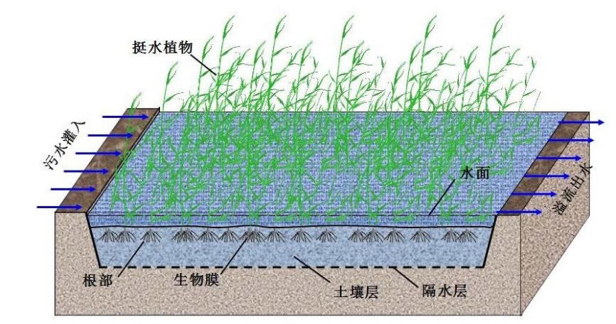 表流湿地污水处理技术