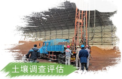 某化工股份有限公司土壤污染状况调查
