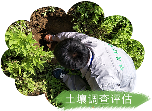 全国土壤详查