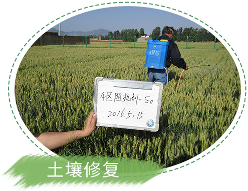 某化工股份有限公司土壤污染状况调查

