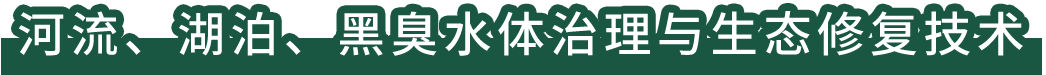 河流、湖泊、黑臭水体治理与生态修复技术