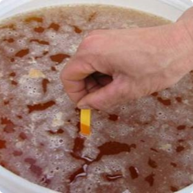 生物菌剂