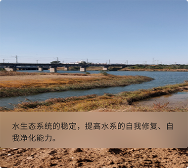 人工湿地示范工程