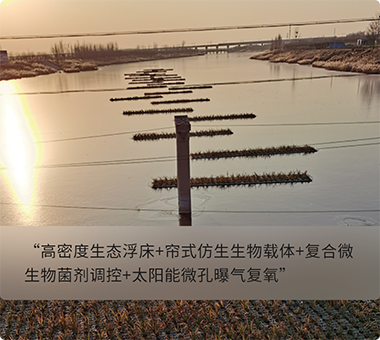 人工湿地示范工程