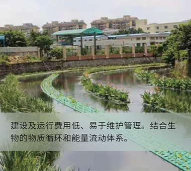 人工湿地示范工程