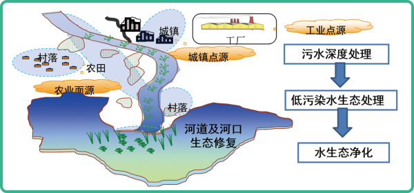 人工湿地，人工湿地建设