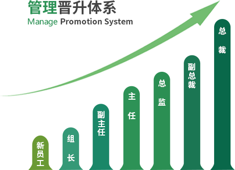 管理晋升体系