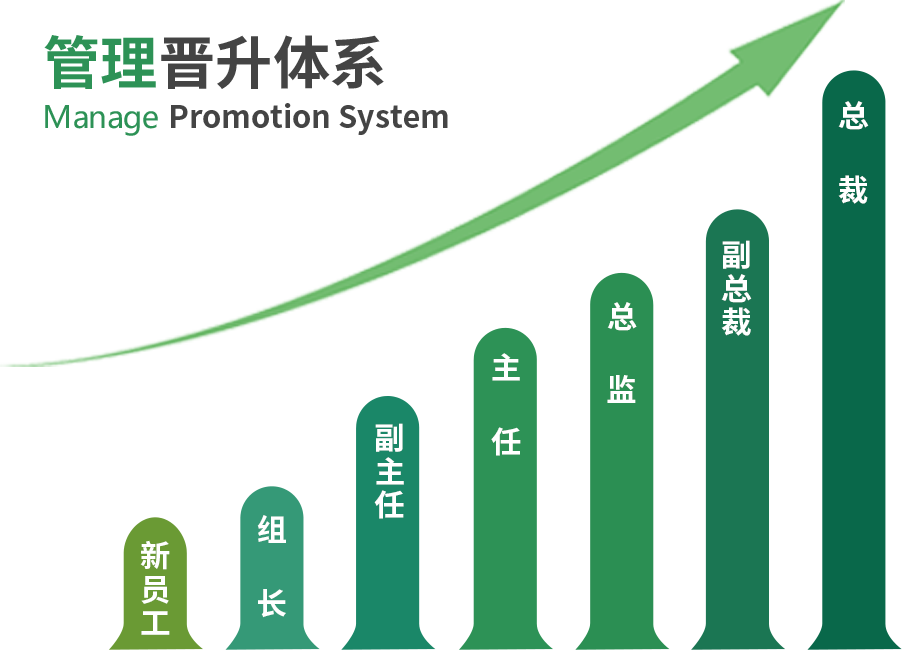 管理晋升体系