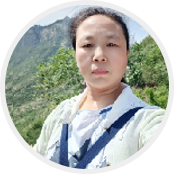 专家团队