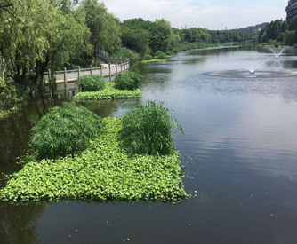 水污染治理_水咨询治理_水治理