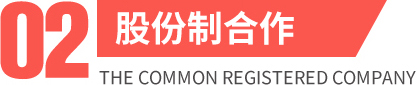 股份制合作