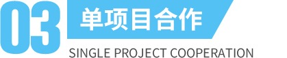 单项目合作