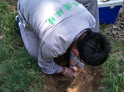 土壤治理修复技术哪种方法适合咱们土地