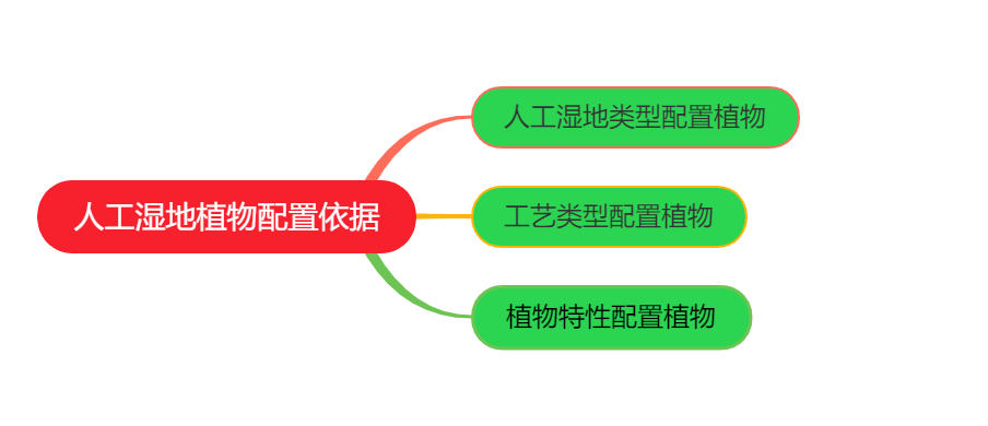 污水处理人工湿地植物配置