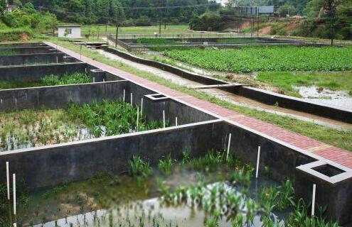 农村生活污水治理——稳定塘处理技术
