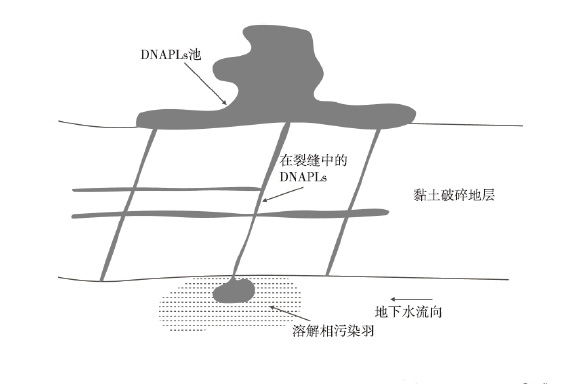 污染地块土壤修复-地下水中DNAPL空间分布