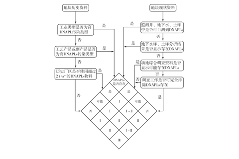 污染地块中DNAPLs的判定