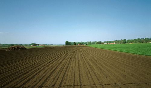 我国在产企业土壤环境管理工作对策及建议