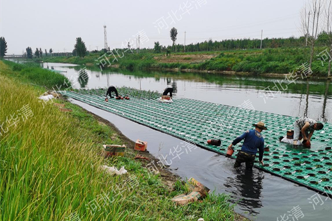 论河道管理与水环境维护