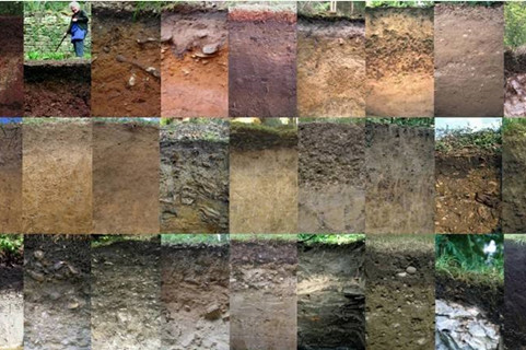 五种土壤监测实例简述