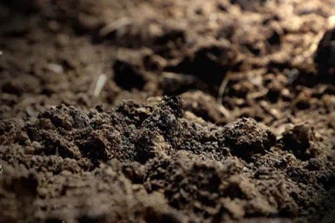 土壤挥发性有机物检测方法