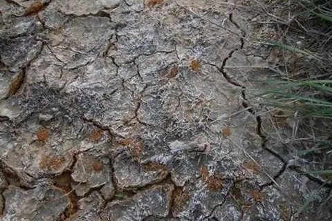 土壤重金属污染现状分析